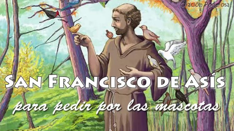 Oración a San Francisco de Asís por los animales - Oraciones religiosas ...